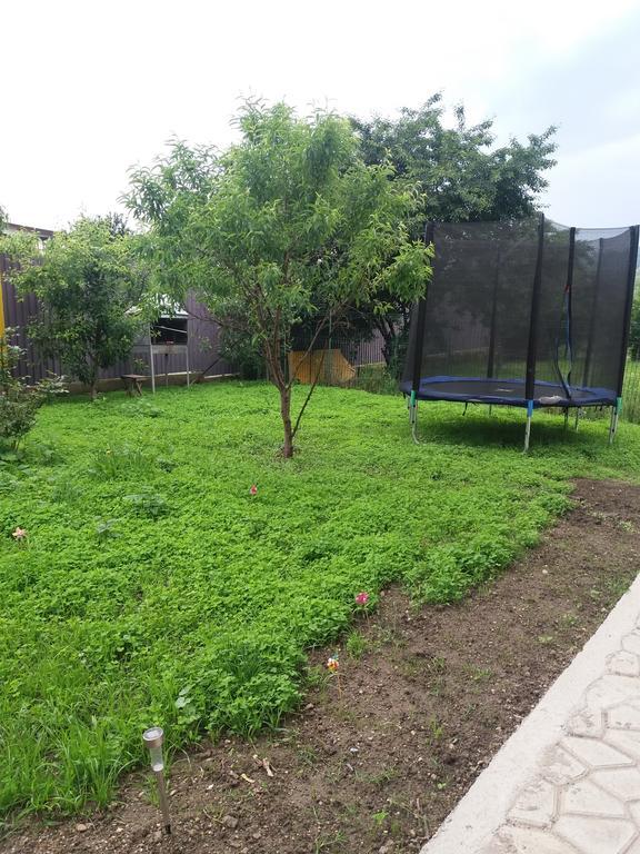 ホテル Casa Ariana Curtea de Argeş エクステリア 写真