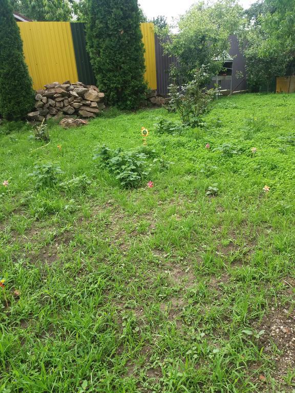 ホテル Casa Ariana Curtea de Argeş エクステリア 写真