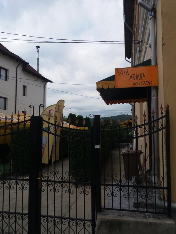 ホテル Casa Ariana Curtea de Argeş エクステリア 写真