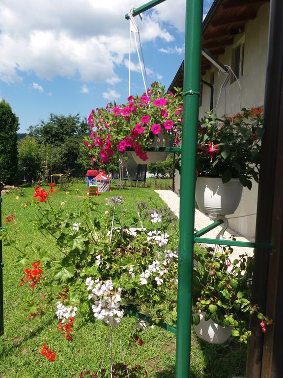ホテル Casa Ariana Curtea de Argeş エクステリア 写真