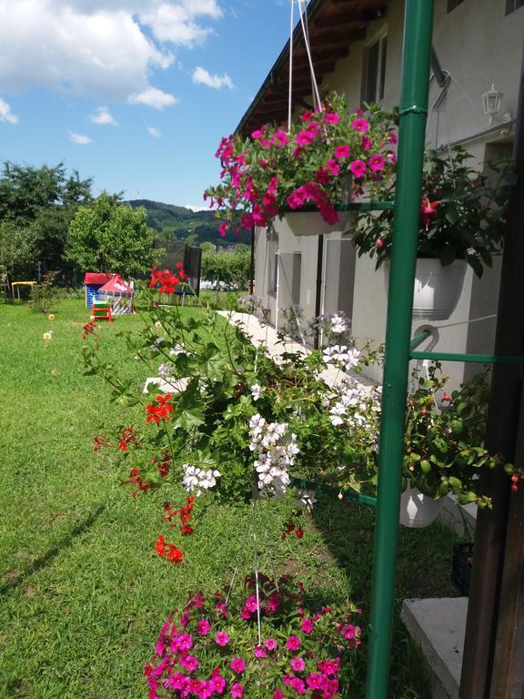 ホテル Casa Ariana Curtea de Argeş エクステリア 写真