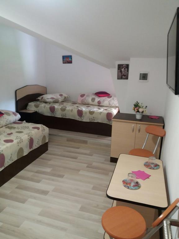 ホテル Casa Ariana Curtea de Argeş エクステリア 写真