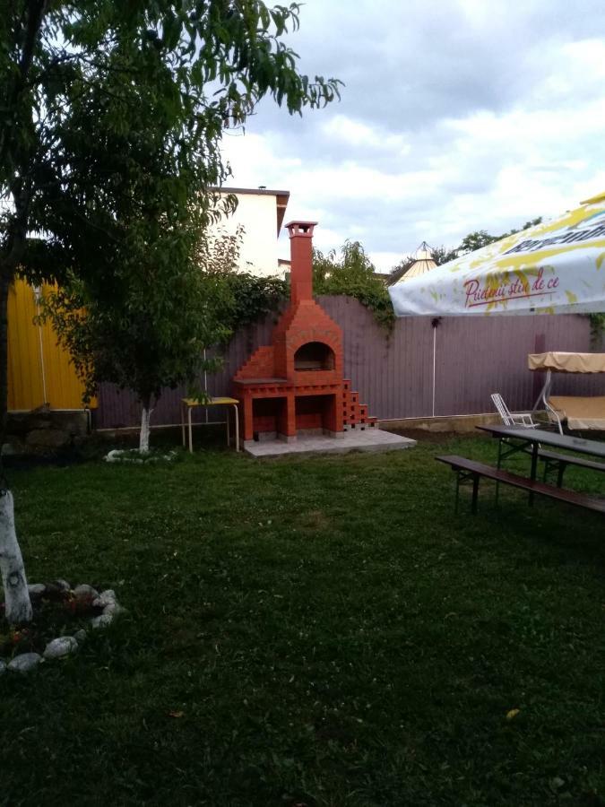 ホテル Casa Ariana Curtea de Argeş エクステリア 写真