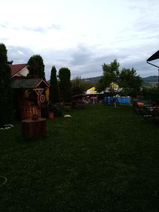 ホテル Casa Ariana Curtea de Argeş エクステリア 写真