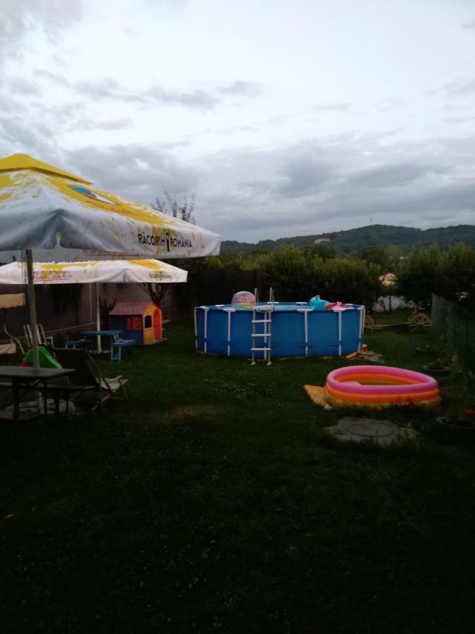 ホテル Casa Ariana Curtea de Argeş エクステリア 写真